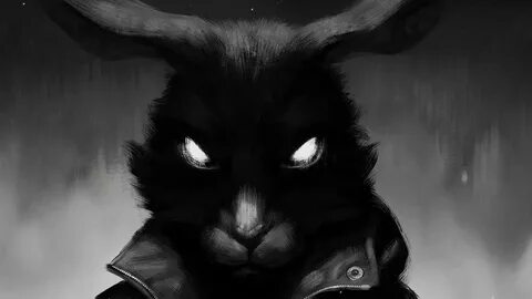 Tiny bunny story