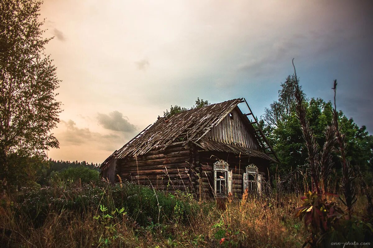 Мертвые дома в деревне. Полуразрушенный дом в России в деревне. Заброшенный дом в деревне. Заброшенная деревня в лесу. Заброшенные дома в деревнях.