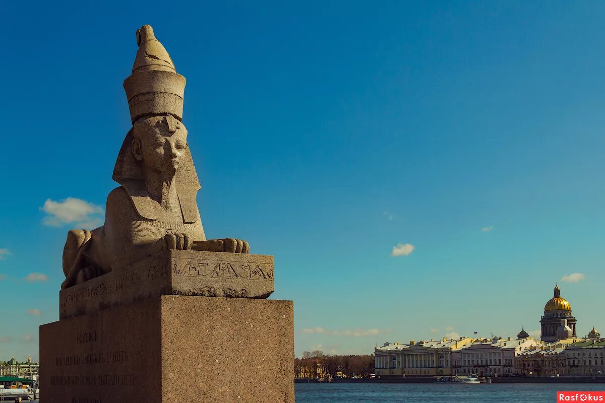 Университетская набережная сфинксы академия художеств. Сфинксы у академии художеств в санкт-петербурге. Петербург сфинкс фото. Сфинксы на университетской набережной. Сфинксы у академии художеств в санкт-петербурге.