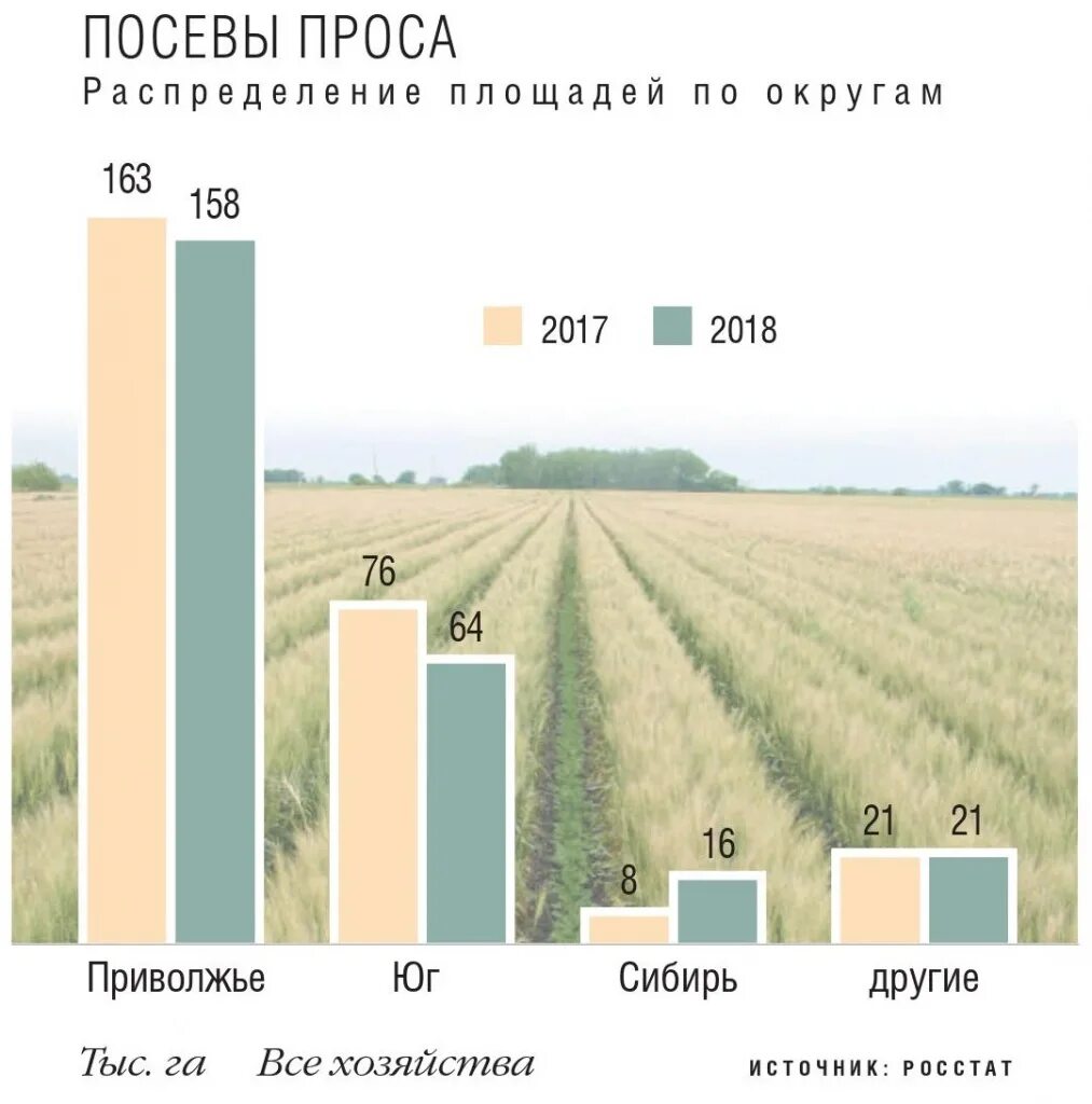 Норма высева проса на 1. Посевы просо. норма высева проса. посев пшена. урожайность пшена с 1 га.