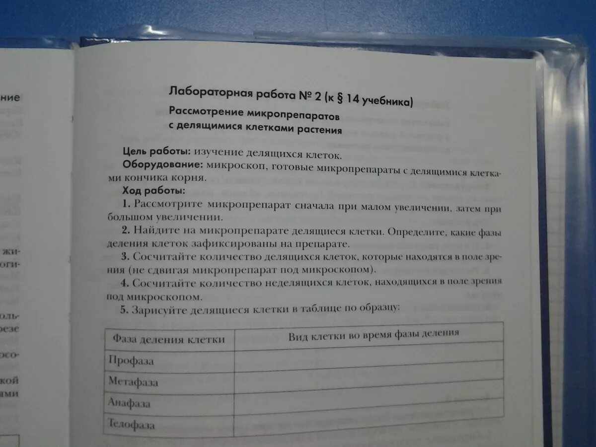 Биология 9 класс лабораторная 3. Лабораторная работа 2 рассмотрение микропрепаратов с делящимися. Изучение делящихся клеток лабораторная работа. Рассматривание микропрепаратов с делящимися клетками. Вывод рассматривание микропрепаратов с делящимися клетками.