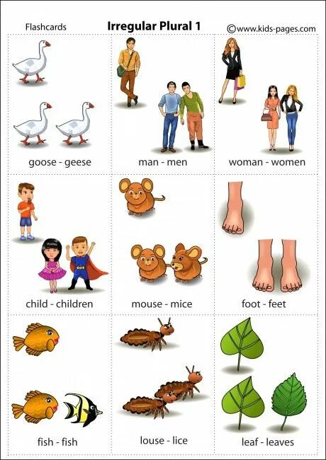 Foot mouse child man. Irregular plurals для детей. Irregular plural Nouns for Kids. Множественное число исключения Worksheets. Множественное число в английском Worksheets.