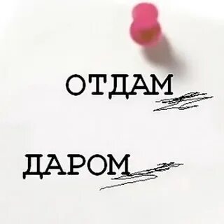 Биру даром