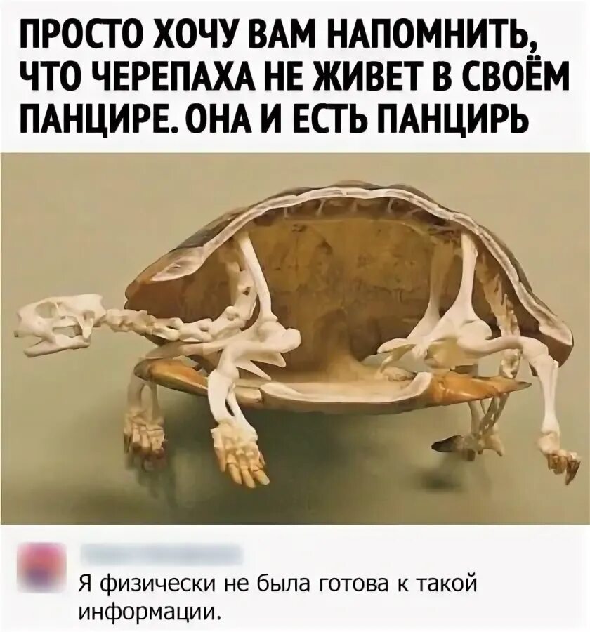 i?id=702cb699832b035eee52f9d06e62ed02_sr