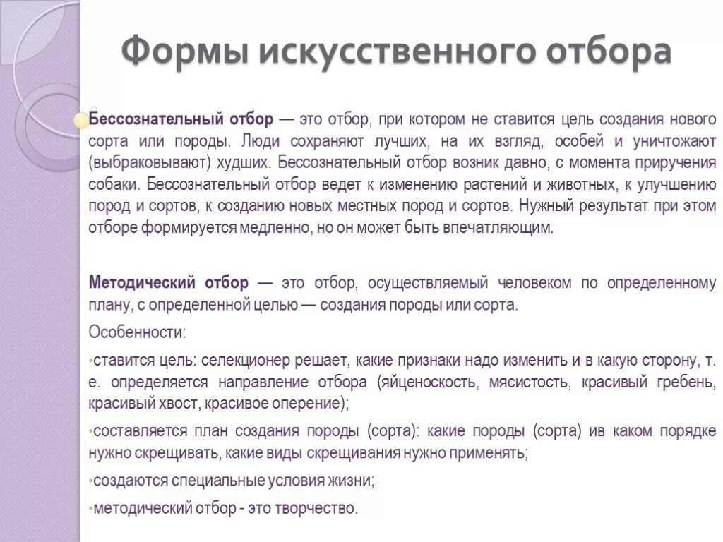 Примеры бессознательного отбора. Методический отбор. Искусственный отбор бессознательный и методический. Сознательный и бессознательный отбор примеры.