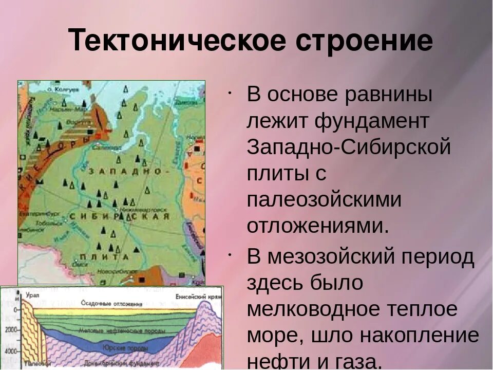 Какой тектонической структуре. Тектоническое строение. Рельеф и тектоническое строение России. Что лежит в основе Западно-сибирской равнины. Рельеф Западно сибирской равнины.