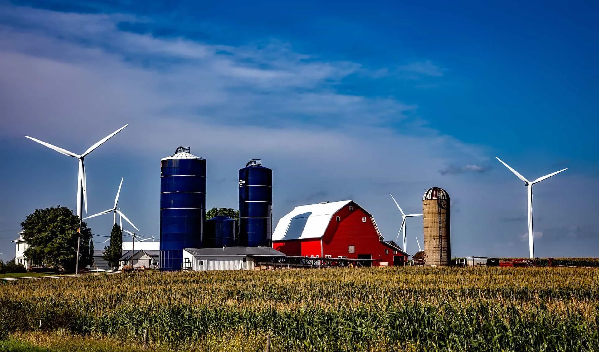Штат Айова сельское хозяйство. Поля ветряков в Дании. Штат Айова фермы. ВЭС США. Альтернативные источники информации