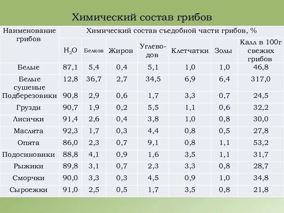 Химический состав и пищевая ценность грибов. Химический состав грибов. Грибы химический состав. Пищевая ценность гр бов. Грибы это белки или клетчатка