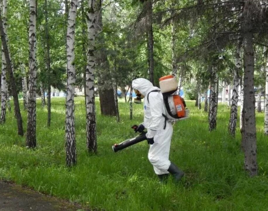 Которые прошли обработку и