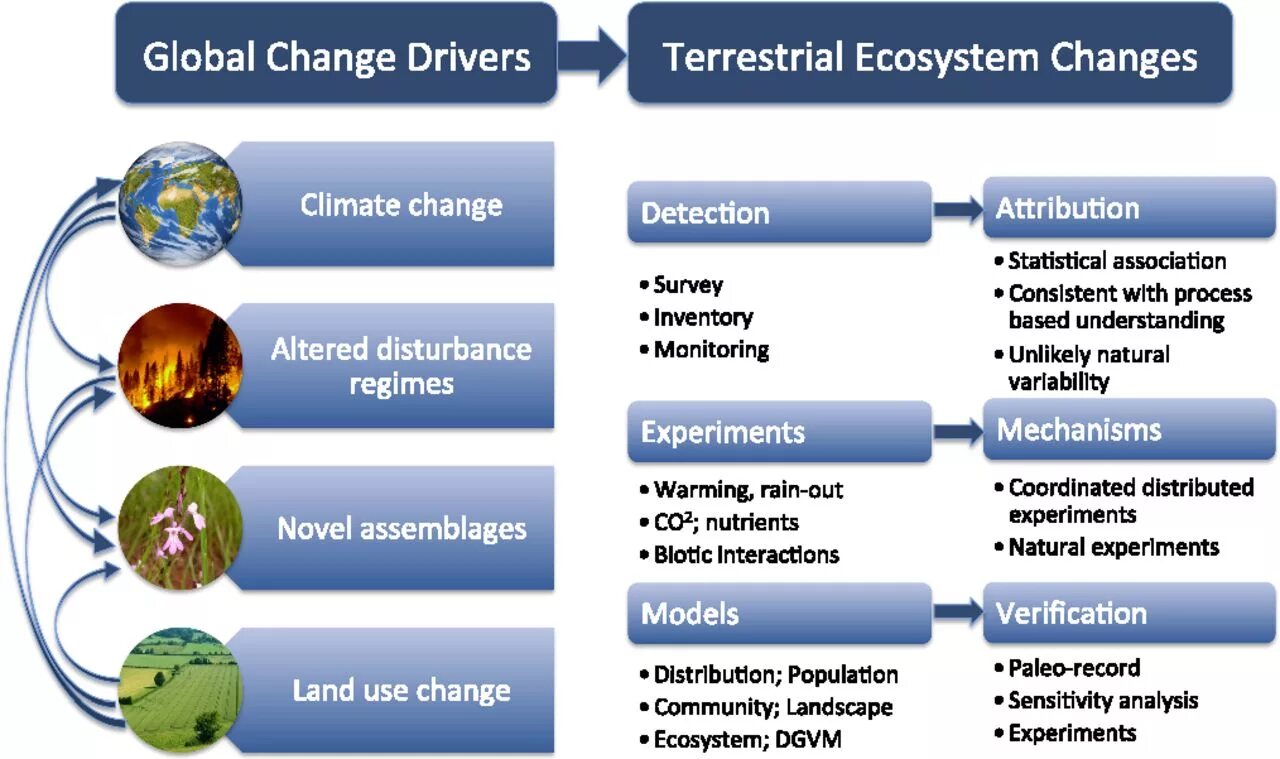 Global change. Climate change Effects. Global climate change. Climate change and the environment. Global processes