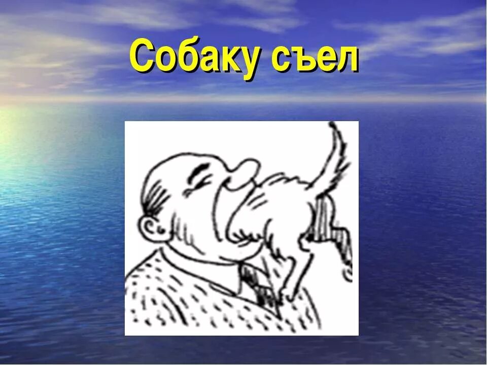 4 съела собака