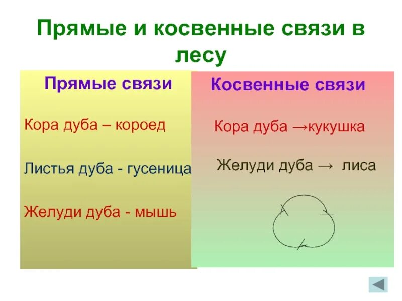 Примеры косвенных связей между видами Презентация на тему "Взаимосвязь компонентов биоценозов"