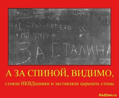 Пока на свете
