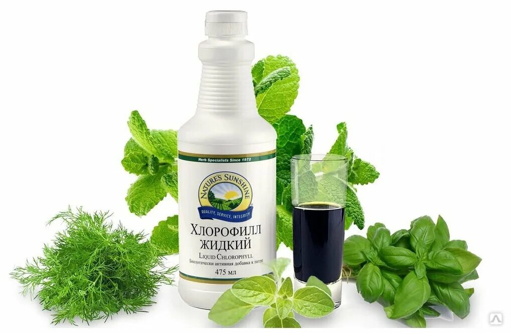 Chlorophyll от natures way жидкий хлорофилл, 473 ml. Хлорофилл амвей. Хлорофилл жидкий liquid chlorophyll. Хлорофилл добавка. Хлорофилл добавка.