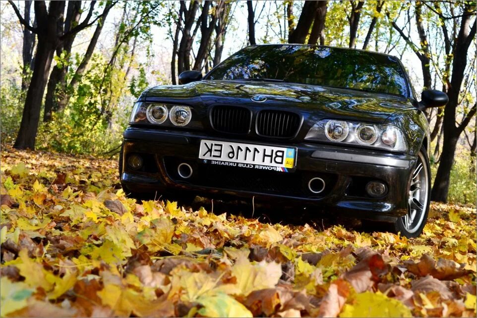 Бмв е38 е39. Бмв е39. bmw 5 е39. бмв е34 и е39. bmw e39 competition.