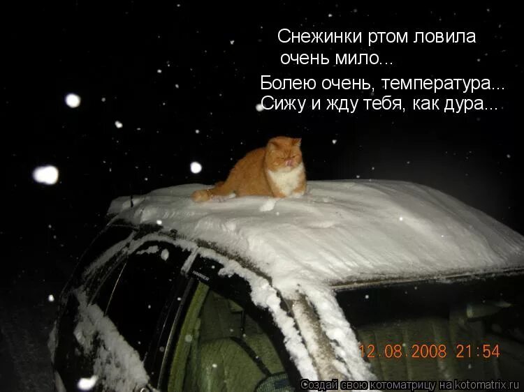 про снег цитаты прикольные. ловить снежинки ртом. снежинки ртом текст. время новогодних чудес. ловить снег ртом.
