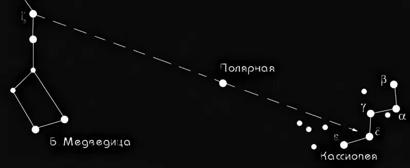 Похожим на медведиц