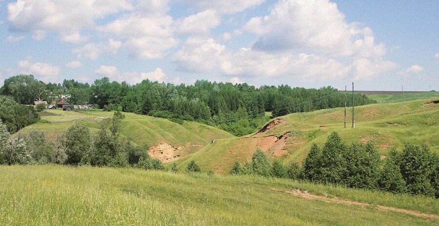 Область поверхности. Форма земной поверхности Чувашии. Земная поверхность Чувашии. Овраги Чувашии. Равнины Чувашии.