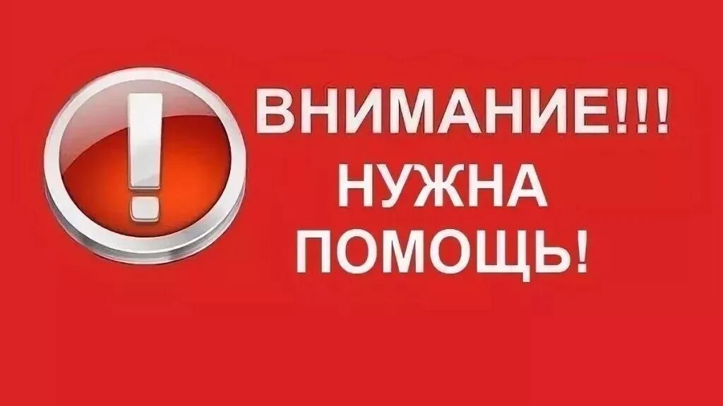 Помогите нужен сайт. Нужна помощь. Внимание нужна помощь. Внимание важная информация. Очень важно.