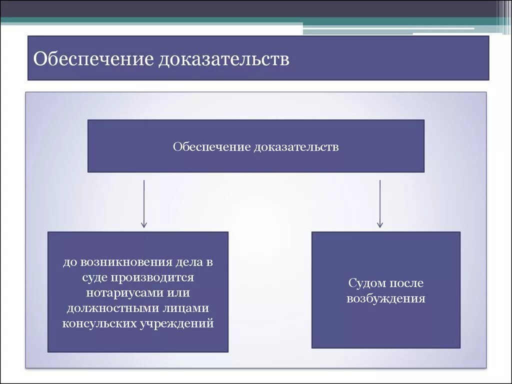 Обеспечение судебных доказательств