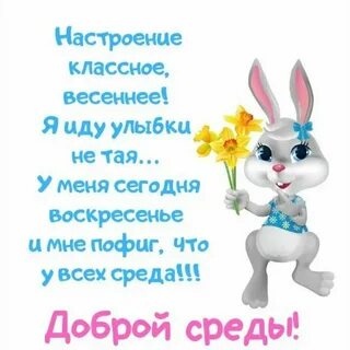 Смешные картинки с доброй средой