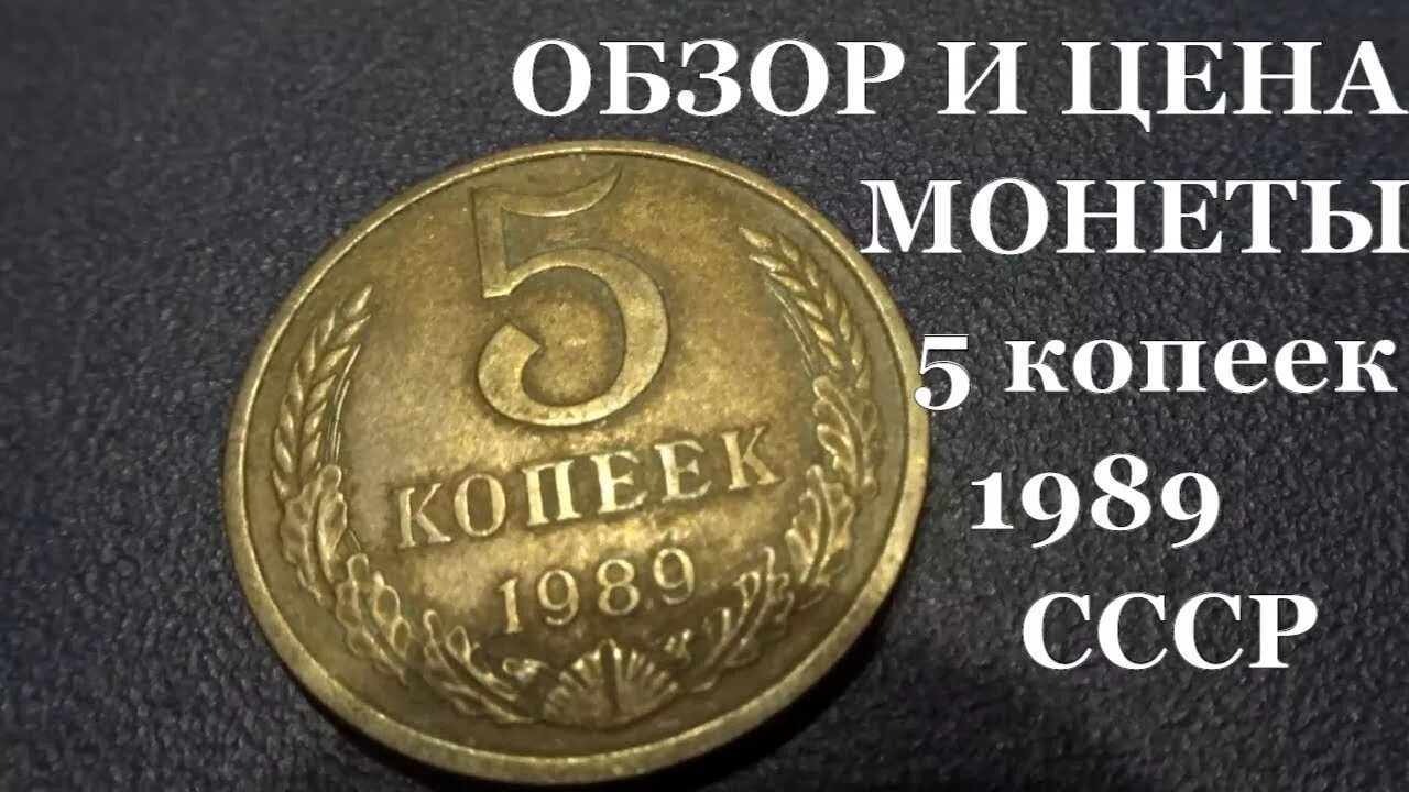 Монета 1989 СССР 5 коп. Монета 5 копеек 1989. Ценные монеты СССР 5 копеек. Ценность монет СССР 1989 5 копеек.