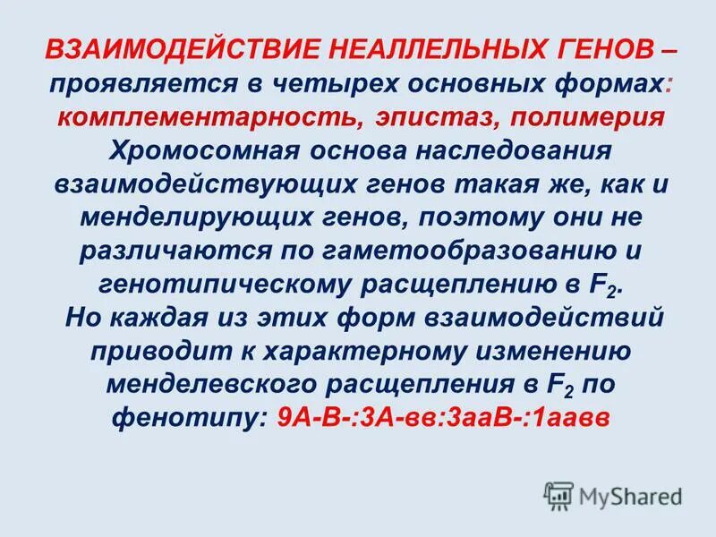 Какие гены проявляют свое действие в первом