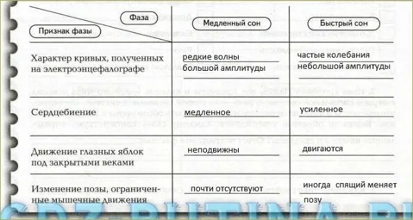 Быстро сравнение. Фазы сна таблица по биологии 8 класс. Таблица сравнение фаз быстрого и медленного сна. Сравните фазы быстрого и медленного сна заполните таблицу. Быстрый и медленный сон таблица.