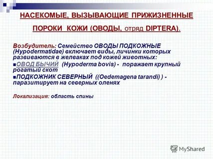 Пороки кожи