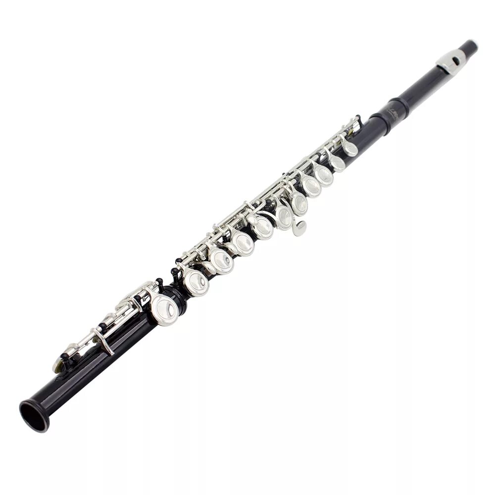 Flute. Флейта. Флейта музыкальный инструмент. Поперечная флейта. Флейта духовой музыкальный инструмент.