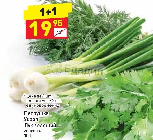 Петрушка за 1 кг. Петрушка кг. Петрушка магазин. Килограмм зелени. Петрушка кг.