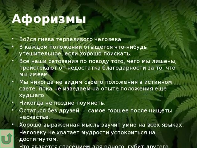 Бойся гнева терпеливого. Бойся гнев Терпилового человека. Бойся ярости терпеливого человека. Бойтесь гнева терпеливого человека