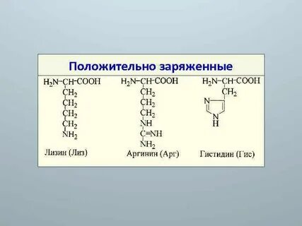 Заряженные радикалы аминокислот