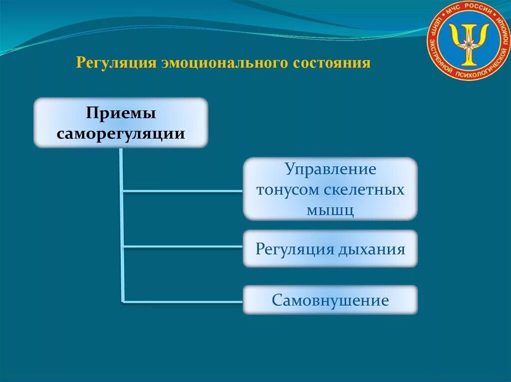 Регулирование эмоциональных состояний. Способы регуляции эмоциональных состояний. Приемы регуляции эмоциональных состояний. Механизмы регуляции эмоциональных состояний. Методика регуляции эмоционального состояния.