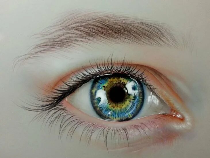 Рисунок цвет глаз