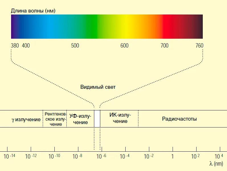 Диапазон длин волн видимого света. Диапазон видимого света для длин волн в нанометрах. Диапазон частот видимого спектра. Диапазон длин волн видимого излучения. Длина световой волны желтого цвета