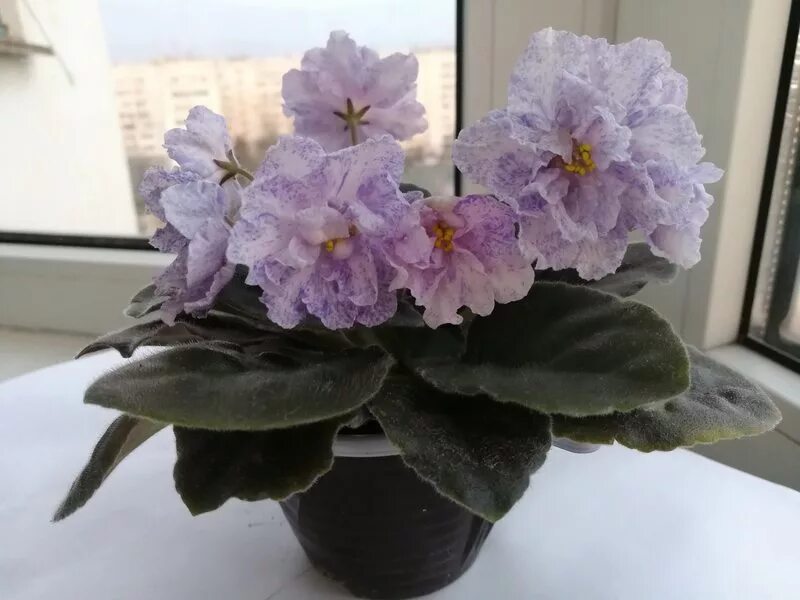 Мотор корабля. Ауди а4 полный привод. Крутящий и вращающий момент разница. Крутящий момент на валу редуктора формула. Вращающий момент на валу двигателя формула.
