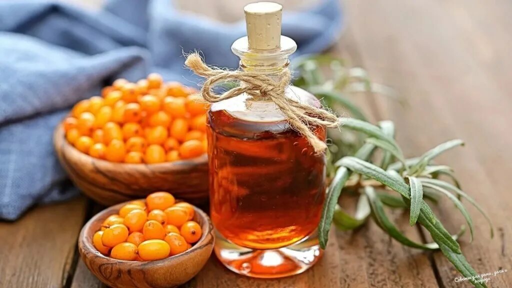 Облепиха масло сделать