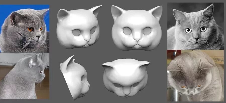 контур головы кошки. набросок головы кота. форма морды кота. форма головы кота. голова кошки в разных ракурсах.