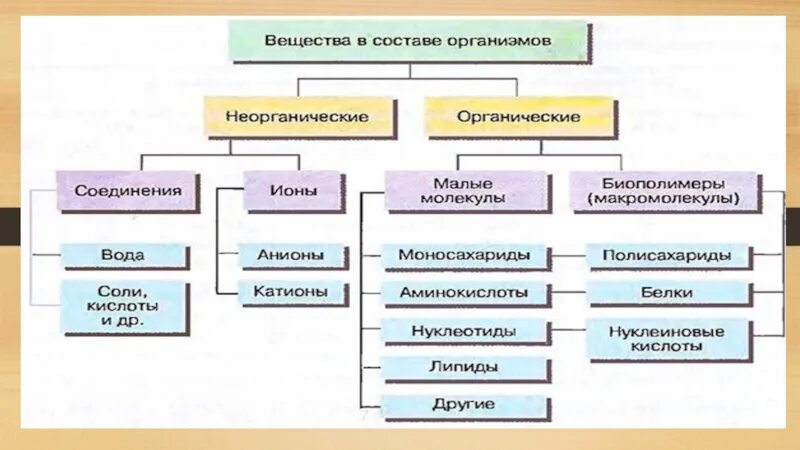 Функция органических и неорганических веществ. Органические и неорганические вещества входящие в состав клетки. Химические вещества входящие в состав клетки. Схема неорганические вещества клетки. Органические вещества в составе клетки.