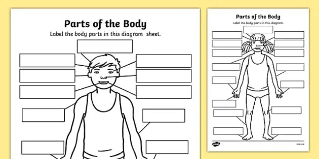 This is my body. Body Parts. Parts of the body Worksheets for Kids. Label body Parts. Label Parts of the body exercise.