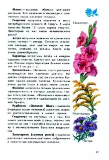 Что такое атлас определитель комнатных растений