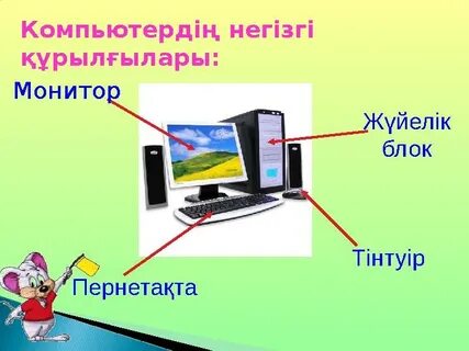 Мәнерлеп сырғанаушылардың трусиктерінде