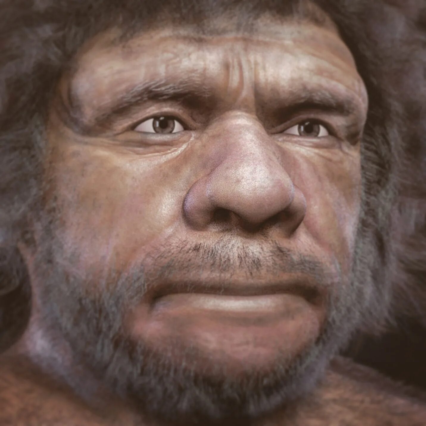 Homo antecessor реконструкция. хомо хейдельбергенсис. хомо хабилис эпоха. неандерталец африка. гейдельбергский человек и неандерталец.