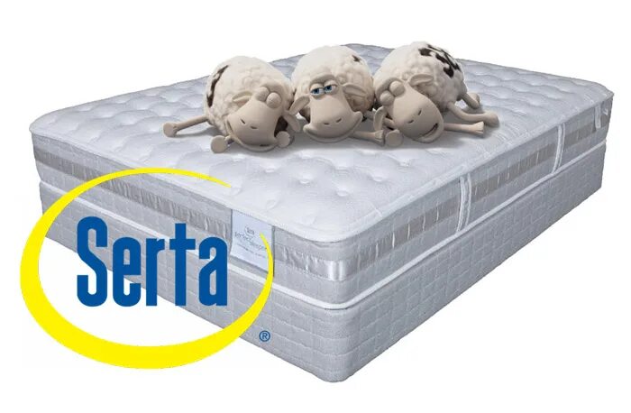 Матрас serta perfect Sleeper Sanders 120x195 ортопедический пружинный. Serta овцы. Serta бренд. Овечка Серта. Serta denver hard отзывы