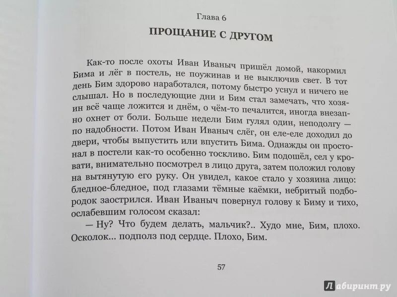 Белый Бим черное ухо отрывок. Отрывок из книги белый Бим черное ухо. Отрывки из книг. Белые одежды книга.