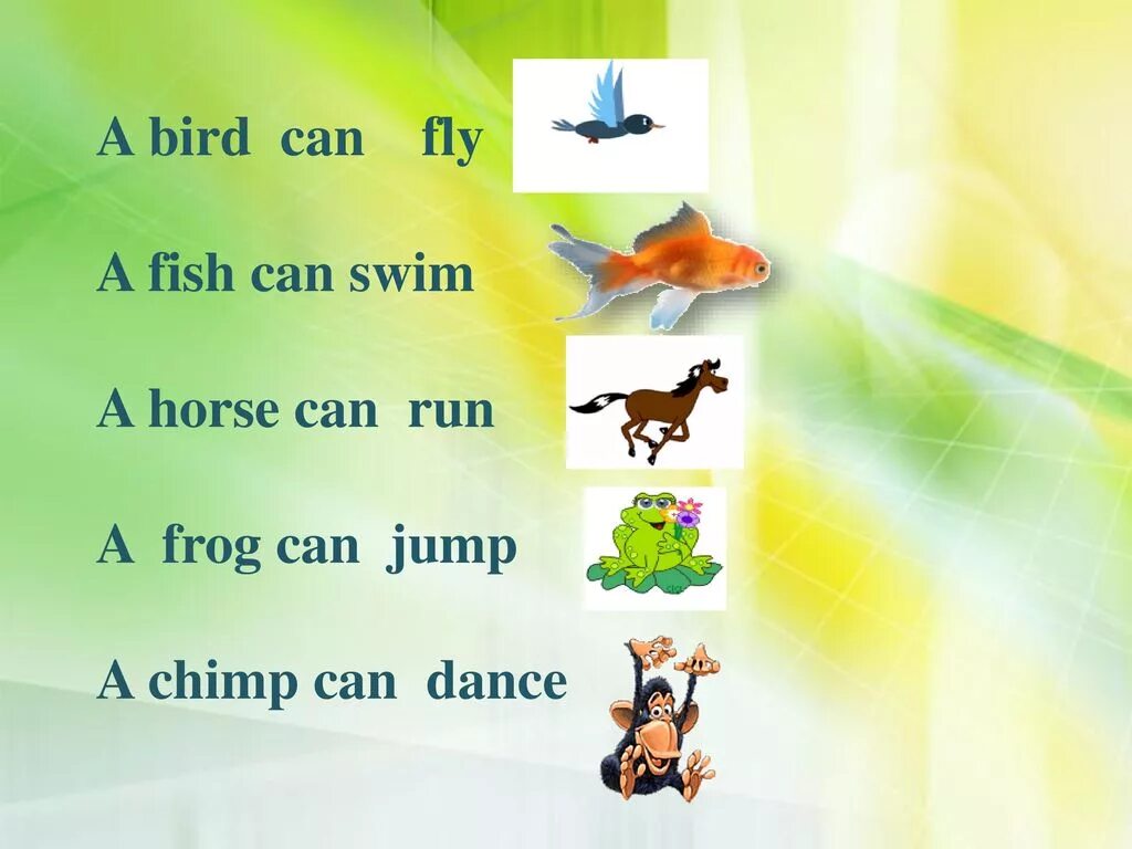 I like to fly my