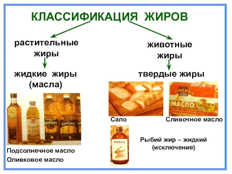 Классификация пищевых жиров животные жиры. Жиры растительные и животные таблица. Классификация пищевых жиров растительные жиры схема. Жиры животного и растительного происхождения