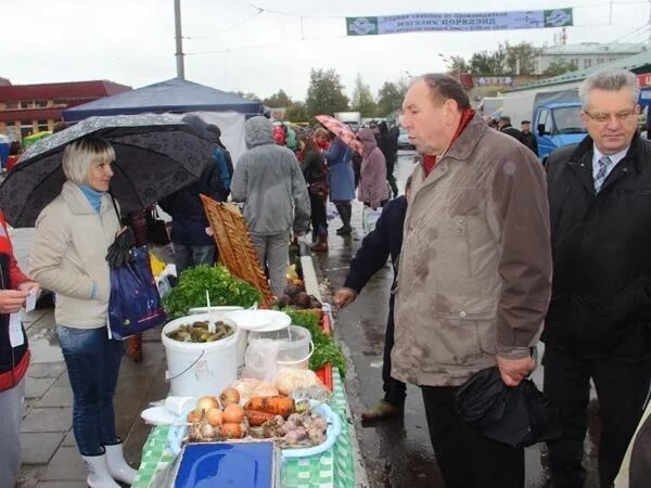 Погода в луховицах на неделю самый. Луховицы Московская область ярмарка. Старые ярмарки в Луховицком р н. Луховицы рынок овощной. Ярмарки урожая Россия Всеволожск.