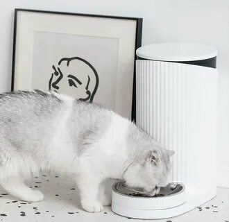 Xiaomi smart pet